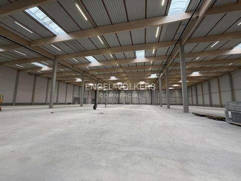 Velten Halle, Velten Hallenfläche