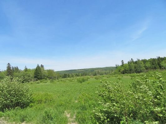 Nova Scotia - 25-Hektar-Areal mit ehem. Farmfläche