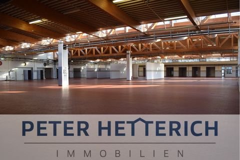 Schweinfurt Halle, Schweinfurt Hallenfläche