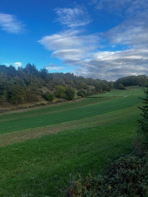 Eberdingen Bauernhöfe, Landwirtschaft, Eberdingen Forstwirtschaft