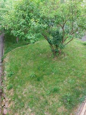 Teilansicht Gartenanteil