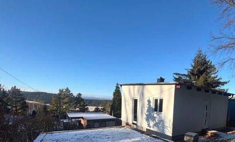 Plaue Häuser, Plaue Haus kaufen