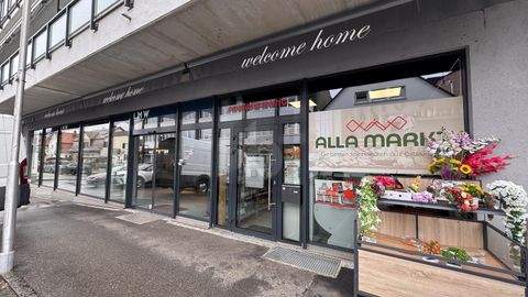 Weil am Rhein Renditeobjekte, Mehrfamilienhäuser, Geschäftshäuser, Kapitalanlage