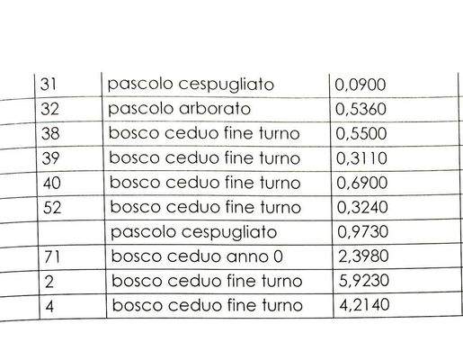 Flurstu¨cken-mit-Gro¨ßenangabe2