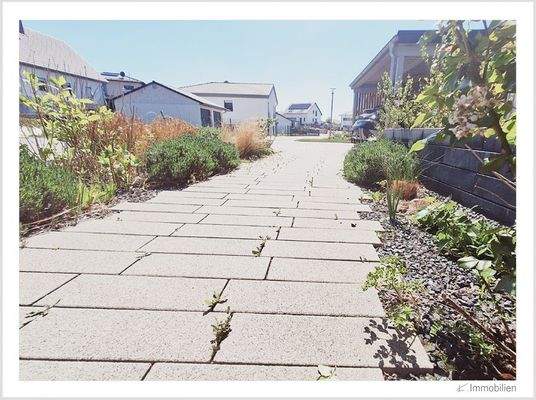 145-2025 Pflaster.jpg