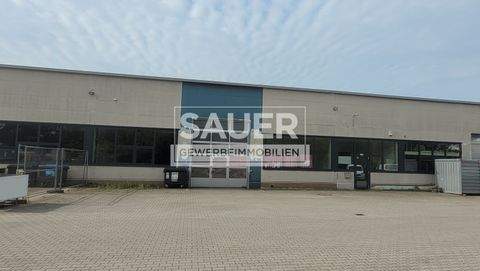 Berlin Halle, Berlin Hallenfläche