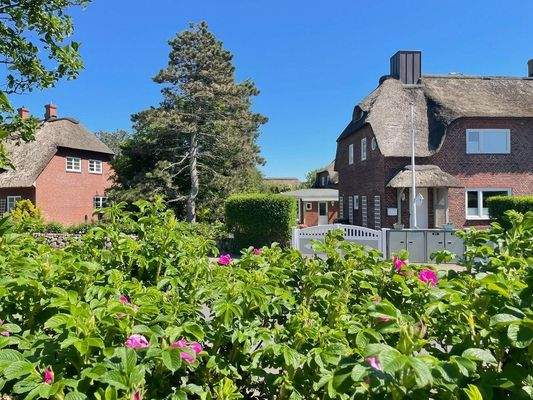 In schöner Umgebung.jpg