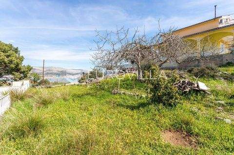 Okrug Bauernhöfe, Landwirtschaft, Okrug Forstwirtschaft