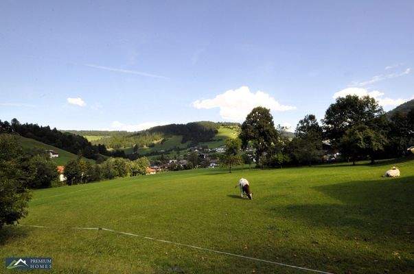 Wildschönau/NIEDERAU - 567 m² Grundstück - nächste Umgebung mit Blick in die Landschaft
