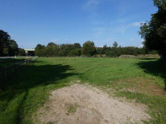 Optionale Pferdewiese