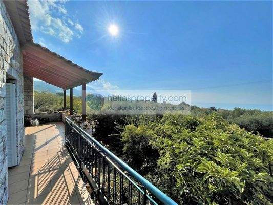 45c6295f57b64e638b546a12f5d1d4ab-original