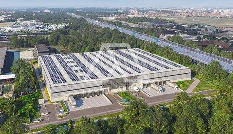 Braunschweig Halle, Braunschweig Hallenfläche