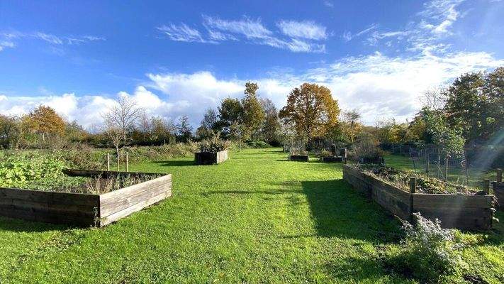 Toller Hochbeetgarten