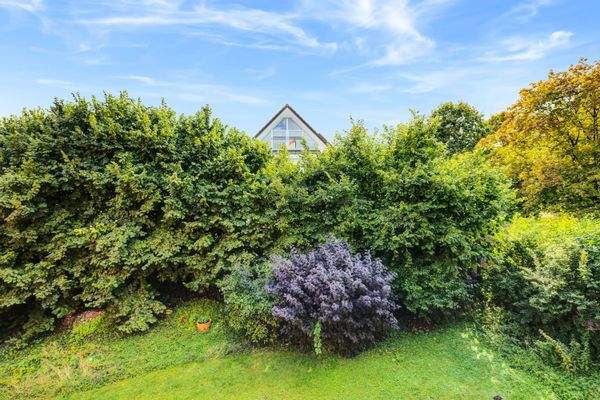 ...mit Ausblick ins Grüne