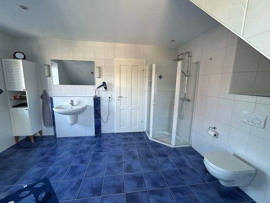 1020098_2_Bad oben Dusche.jpeg