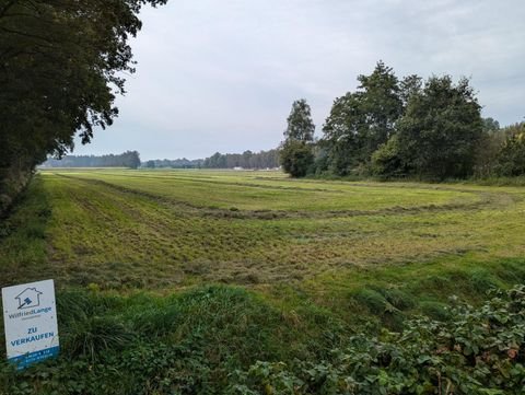 Bad Zwischenahn-Kayhauserfeld Bauernhöfe, Landwirtschaft, Bad Zwischenahn-Kayhauserfeld Forstwirtschaft