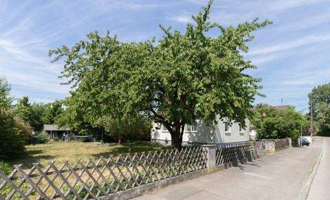 Manching Grundstücke, Manching Grundstück kaufen