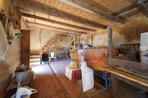 Kreatives Potenzial mit zahlreichen Möglichkeiten