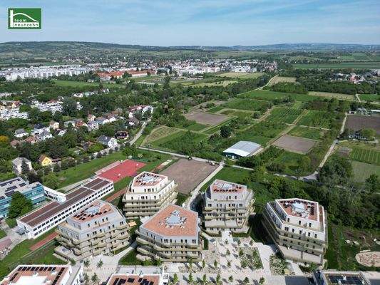 Bild 21