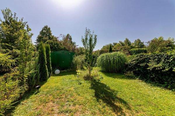 Ausblick in den Garten