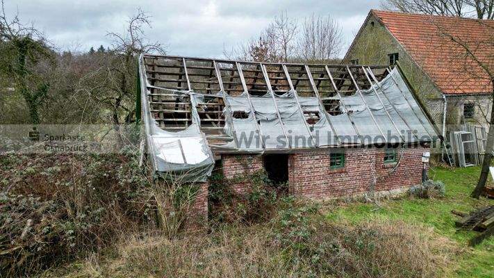 Ehemaliger Schweinestall 3