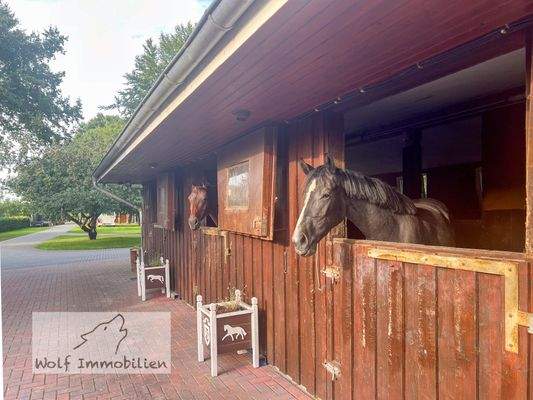 Pferdestall mit 3 Boxen