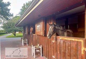 Pferdestall mit 3 Boxen