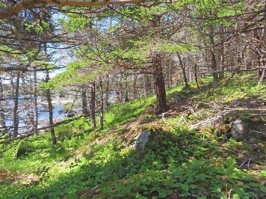 Nova Scotia - Grover?s Point - Wunderschönes Uferg