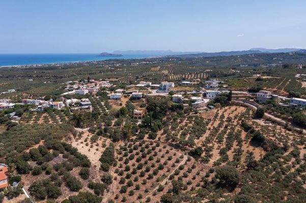 Kreta, Xamoudochori: Idyllische Residenz mit Apartments und Olivenhain zu verkaufen