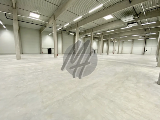 INFOS UNTER: 06171-586000