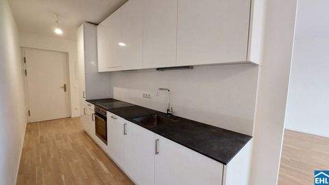 Wien Wohnungen, Wien Wohnung mieten