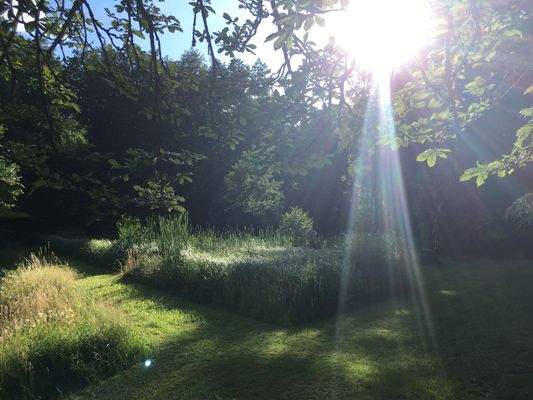 Wege um die Teiche.jpg