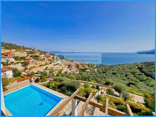 52888b2863b24c54babca7ddef6e9581-original