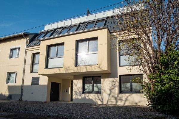 Bild 43