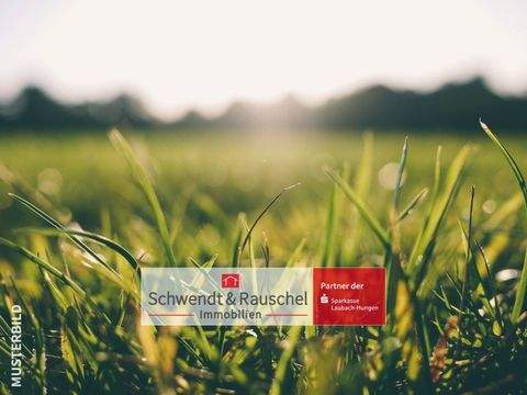 Laubach Bauernhöfe, Landwirtschaft, Laubach Forstwirtschaft