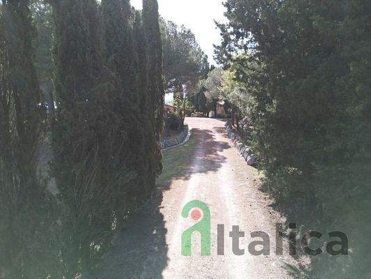 DJI_0347 (Kopie).JPG