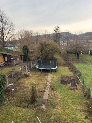 IMG_3865.jpg