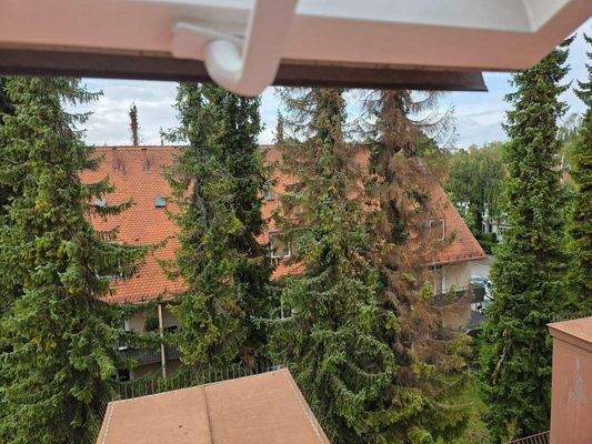 Ausblick DG Fenster.jpg