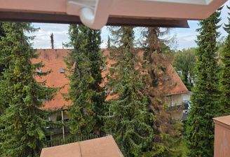 Ausblick DG Fenster.jpg