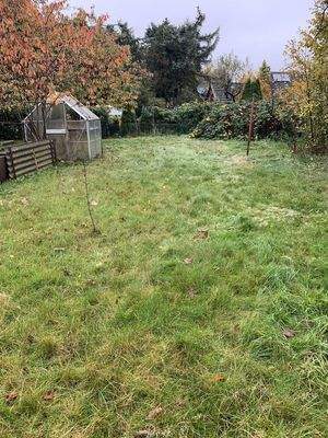 Blick in den Garten