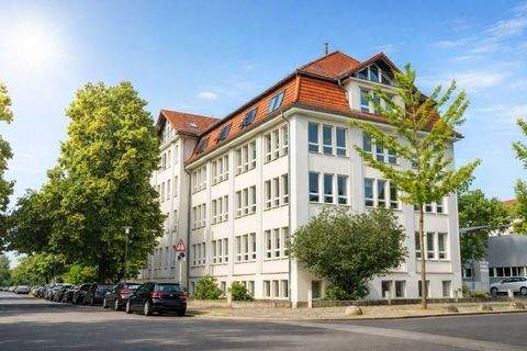 Dresden Halle, Dresden Hallenfläche