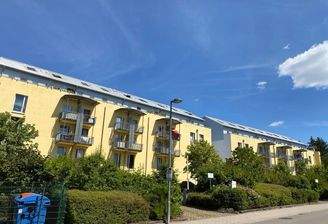 Groß (Groß (IMG_0344)).jpeg