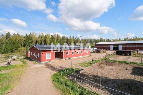 Kouvola Halle, Kouvola Hallenfläche