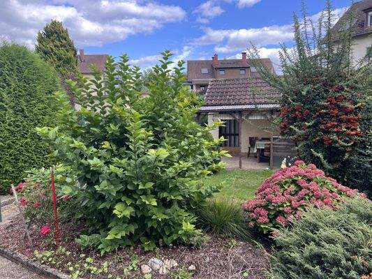 Blick auf Gartenlaube