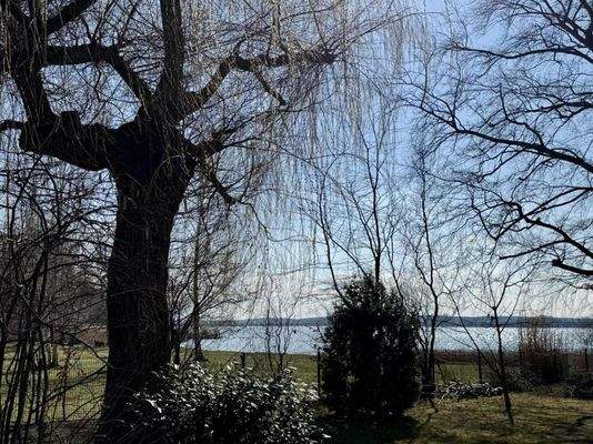 Umgebung Rangsdorfer See