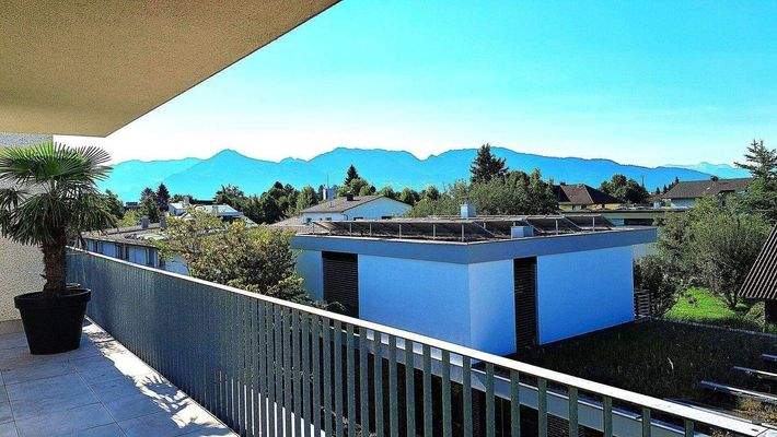 20250826-094315-jpg-68b0557bbc664_z L2.jpg