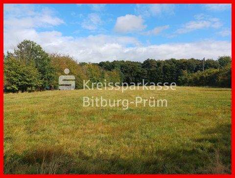 Herforst Grundstücke, Herforst Grundstück kaufen