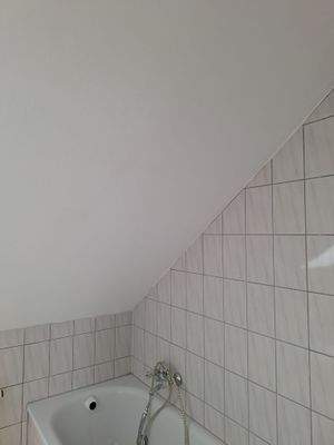 WhatsApp Image 2026-02-17 at 07.48.15 (4).jpeg