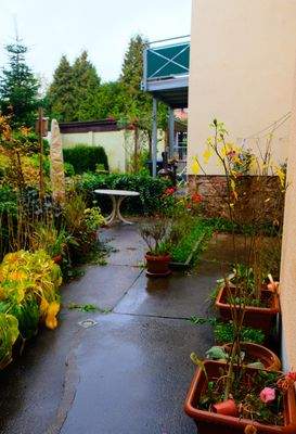 4 kleine Hoffläche.JPG