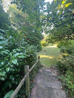 Blick in den Garten.JPG